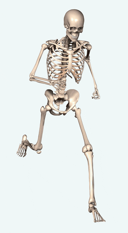 Quiz do Sistema Musculoesquelético: Quanto você sabe sobre seus ossos e músculos?