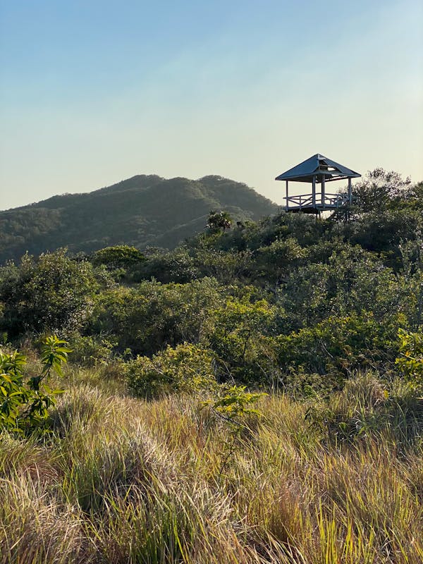 Quiz sobre Honduras: Quanto você sabe sobre este país centro-americano?